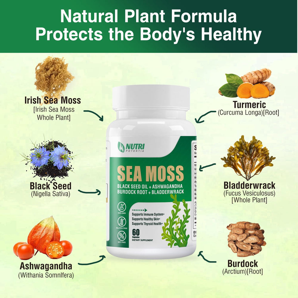 Graphic showing the 16-in-1 formula ingredients