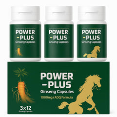 Lion's mane and ginseng blend supplement