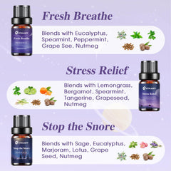 Sweet Dreams benzoin and sweet orange blend