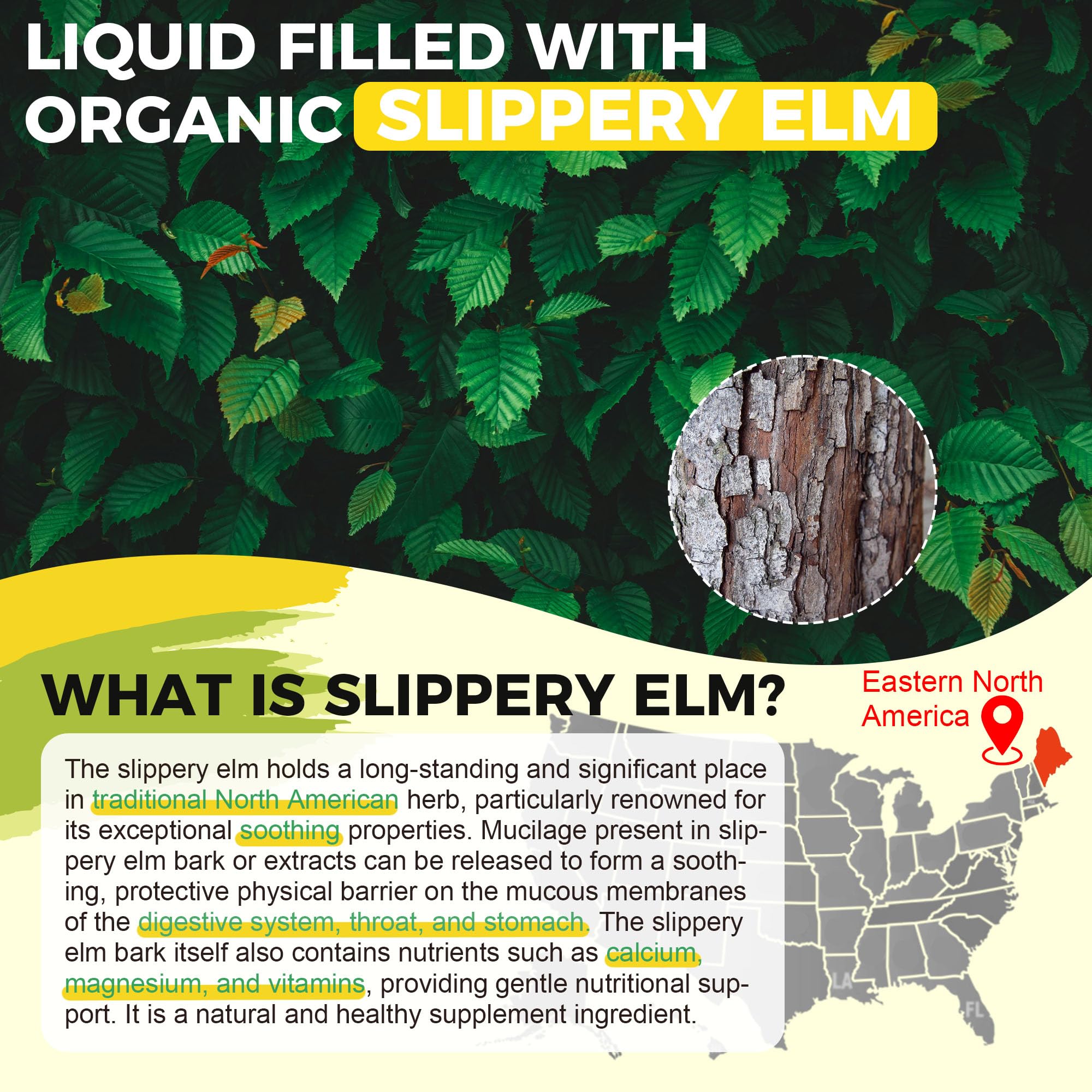 Packaging showing vegan Slippery Elm Drops for throat, digestion, and immune support