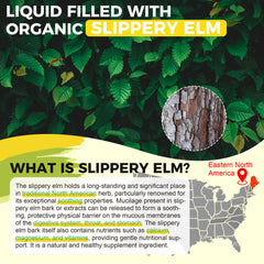 Packaging showing vegan Slippery Elm Drops for throat, digestion, and immune support