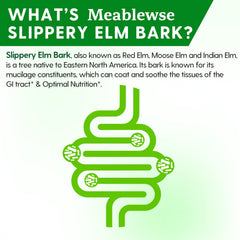 Serving of Slippery Elm Powder on a spoon with glass of water