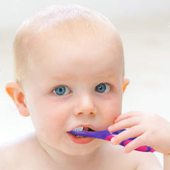 Six-pack set of Slotic toothbrushes in bright colors