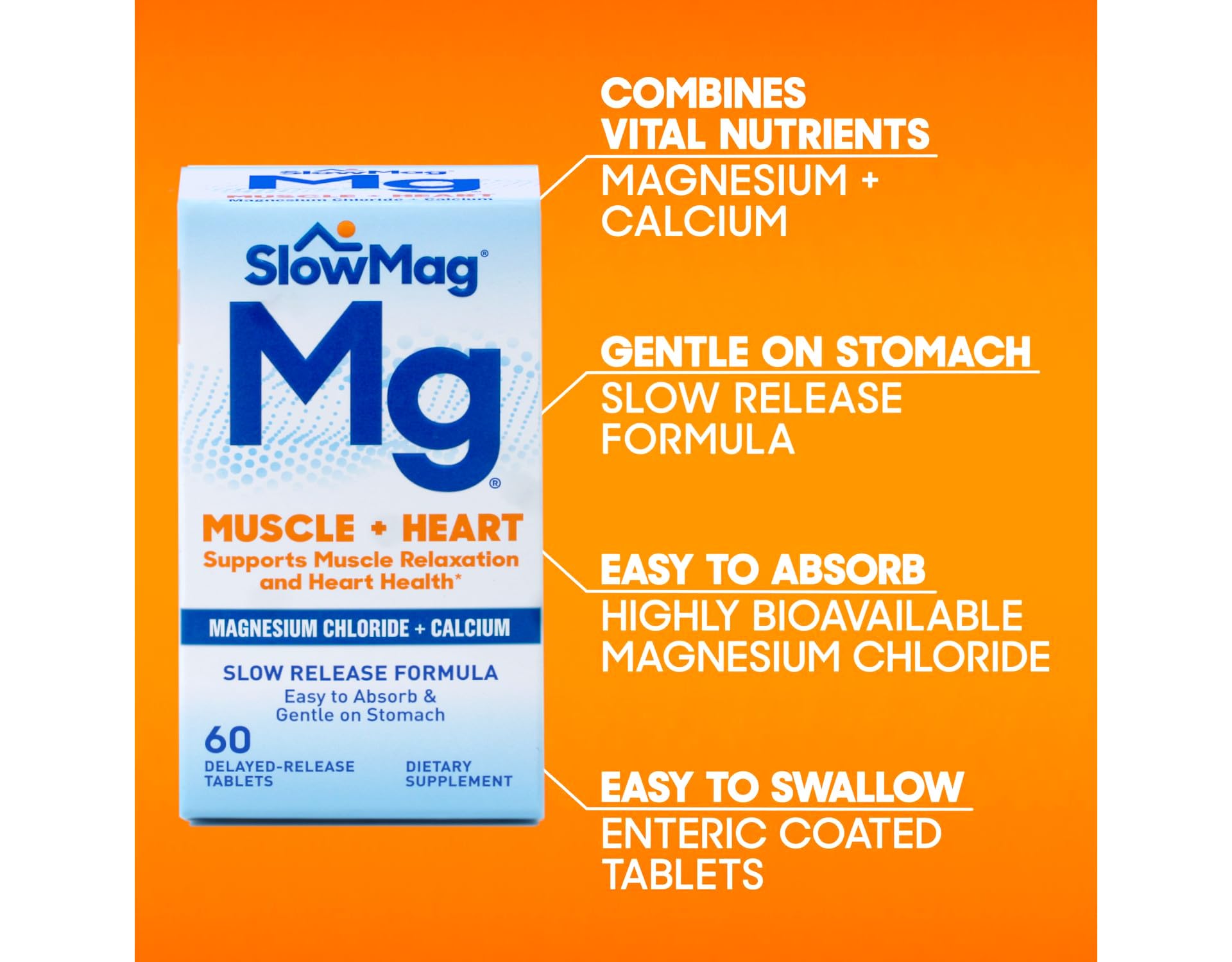 Slow-Mag lifestyle scene suggesting simple daily use with water or meals