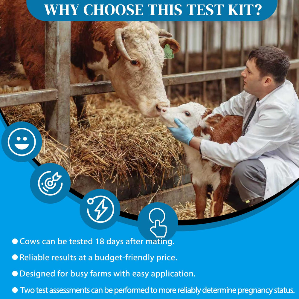 Small farm setting with cattle and breeding management