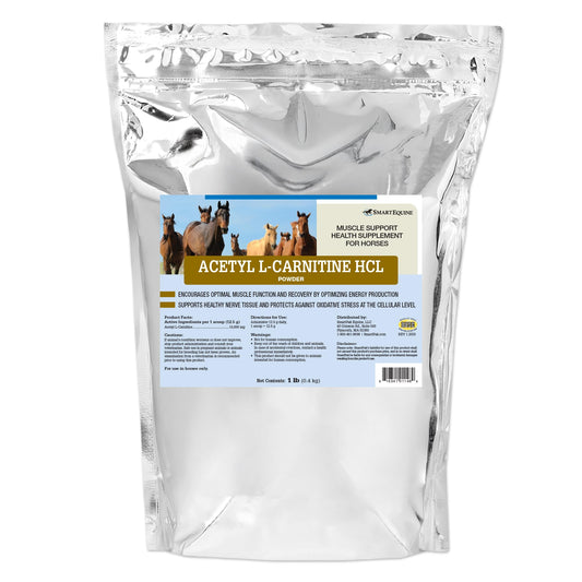 SmartEquine Acetyl L-Carnitine HCL Powder bottle and scoop