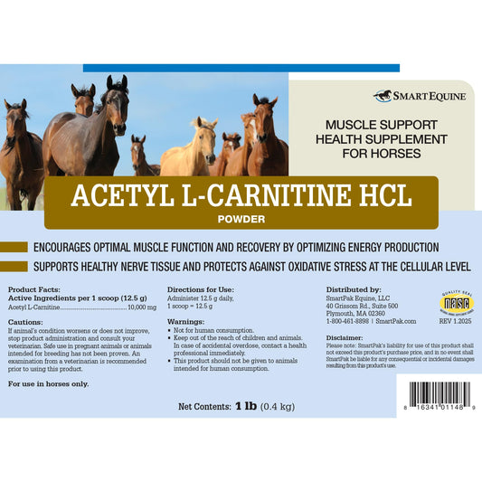 Close-up of Acetyl L-Carnitine HCL powder in scoop