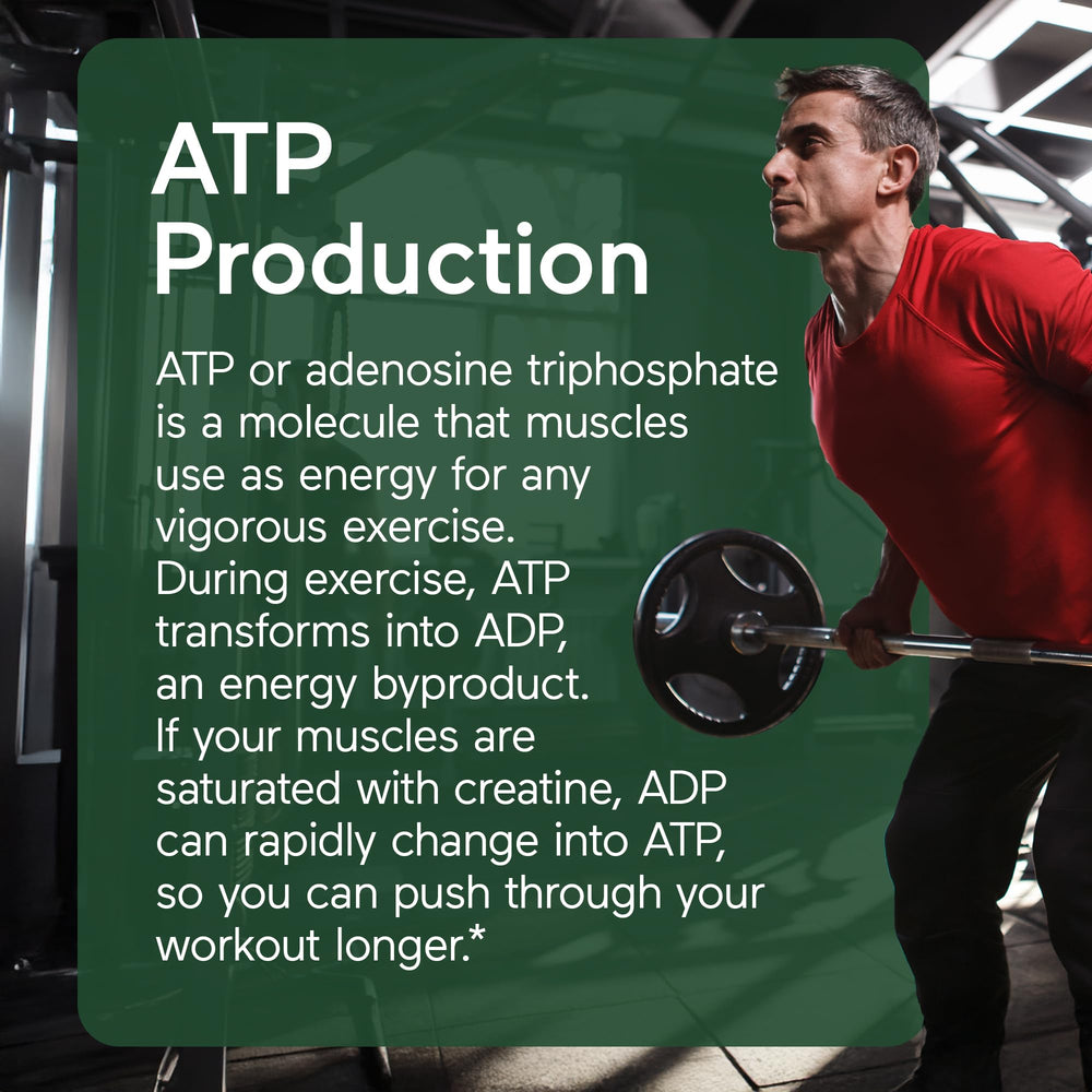 Pre and post-workout usage concept image