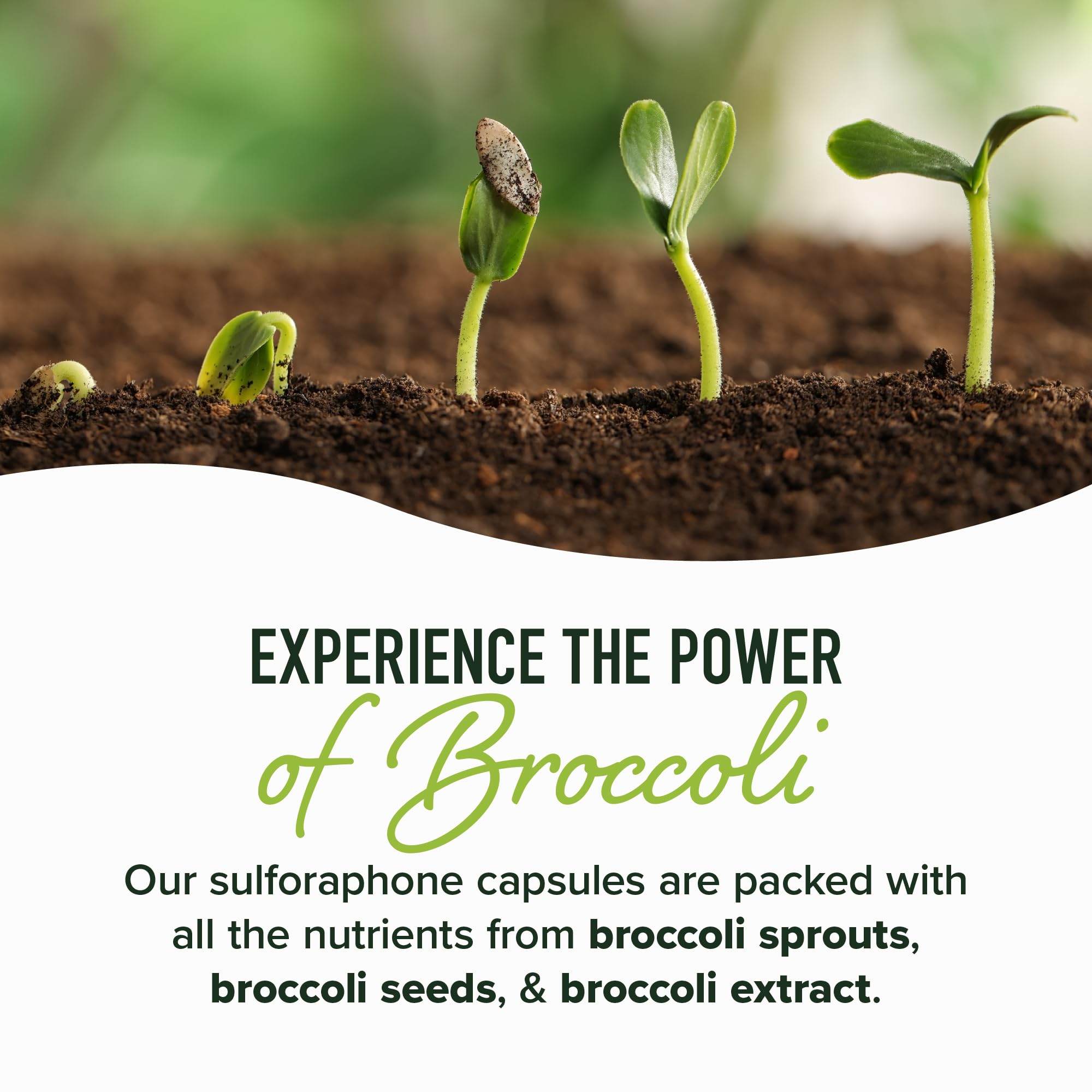 SMNutrition glucoraphanin-rich label emphasizes natural detox pathway support.