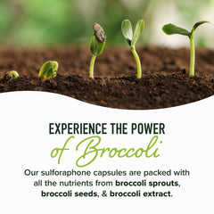 SMNutrition glucoraphanin-rich label emphasizes natural detox pathway support.