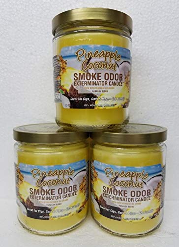 Pineapple & Coconut Smoke Odor Exterminator 13oz jar candle – front view (3-pack)