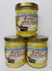 Pineapple & Coconut Smoke Odor Exterminator 13oz jar candle – front view (3-pack)