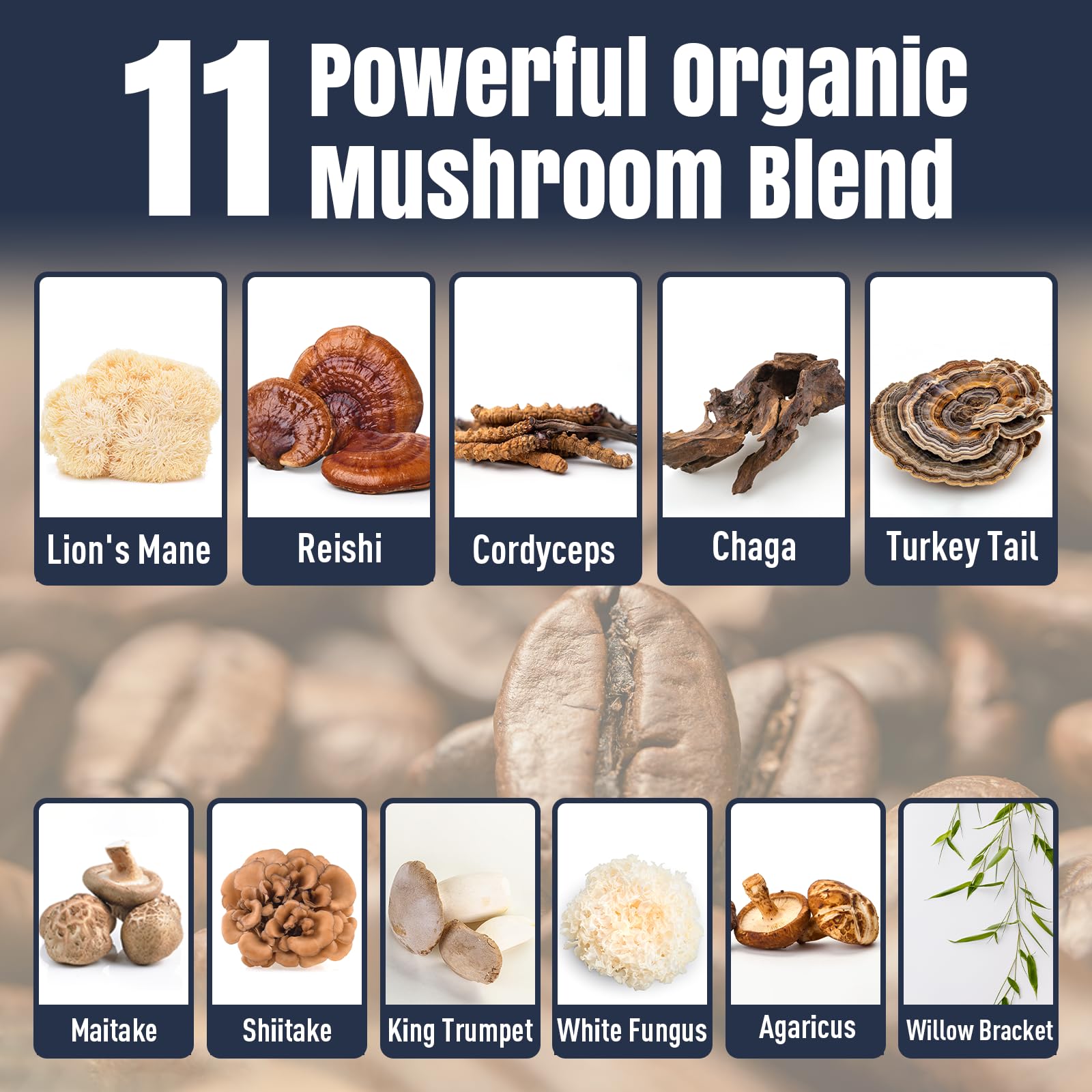 Smooth, low-acid mushroom coffee presentation
