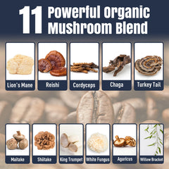 Smooth, low-acid mushroom coffee presentation