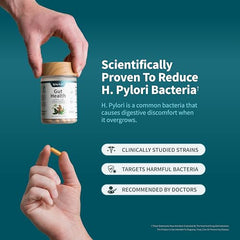 Close-up of digestive enzymes and prebiotics in the formula