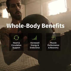 Ingredients: L-Arginine, Nitrosigine, L-Citrulline