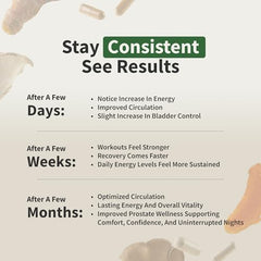 Ginseng root and supplement ingredients concept image