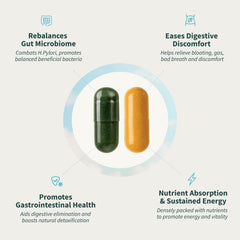 Snap Supplements USA-made GMP seal signals purity and high standards