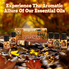 Snickerdoodle fragrance oil 10ml for autumn scents