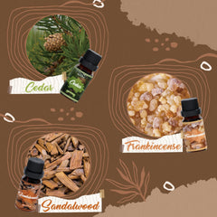 Agarwood essential oil 10ml amber bottle from SNOWSEN Woody Set