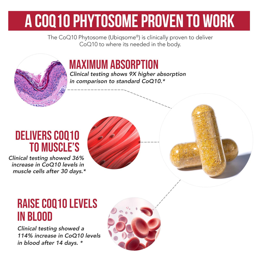 Clinical trial chart showing doubling of CoQ10 levels in 2 weeks
