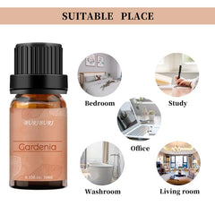Display of soaps, candles, and burners using essential oils