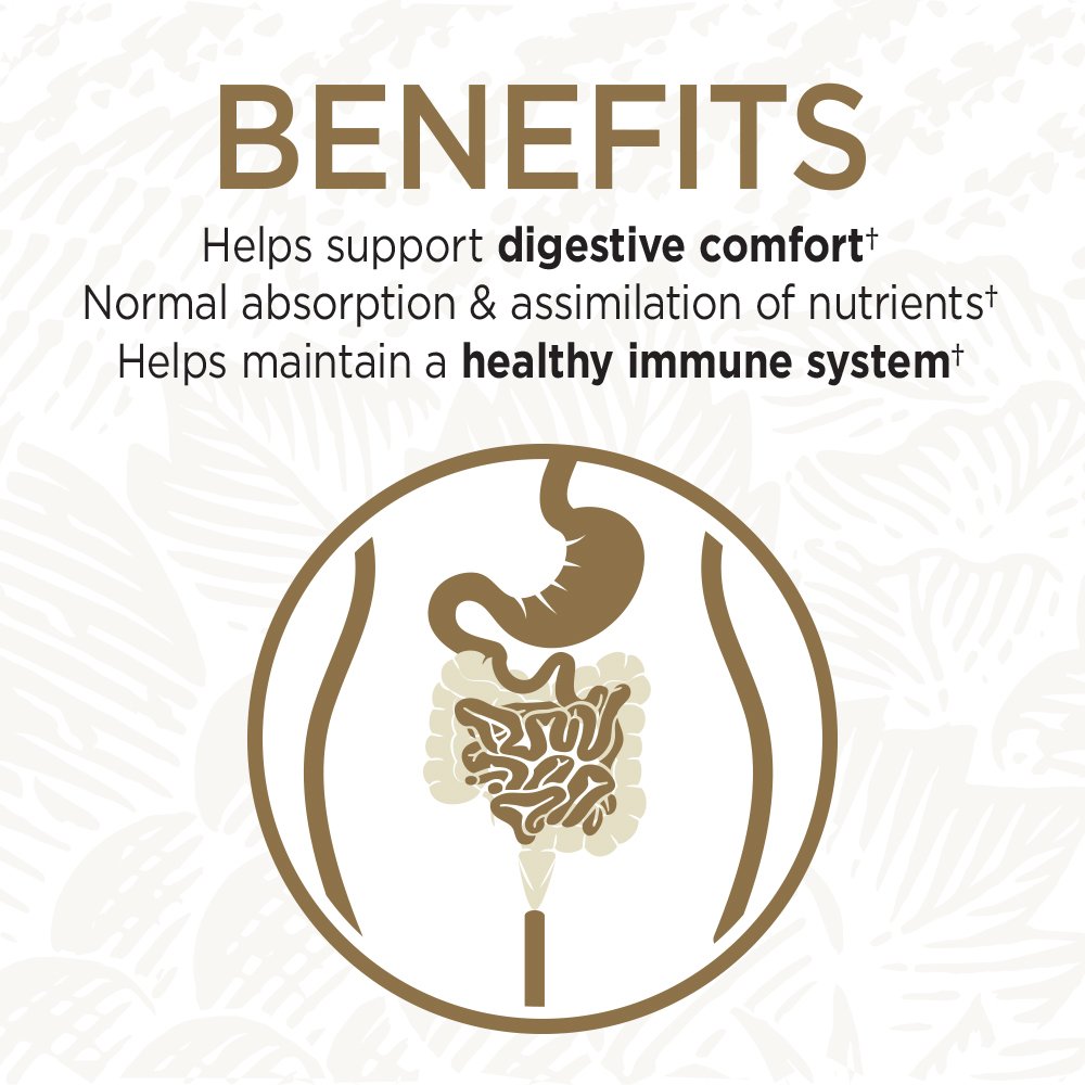 Soil-based probiotics Homeostatic Soil Organisms (HSO) illustration