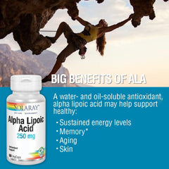 Ingredients and supplement facts card for SOLARAY ALA