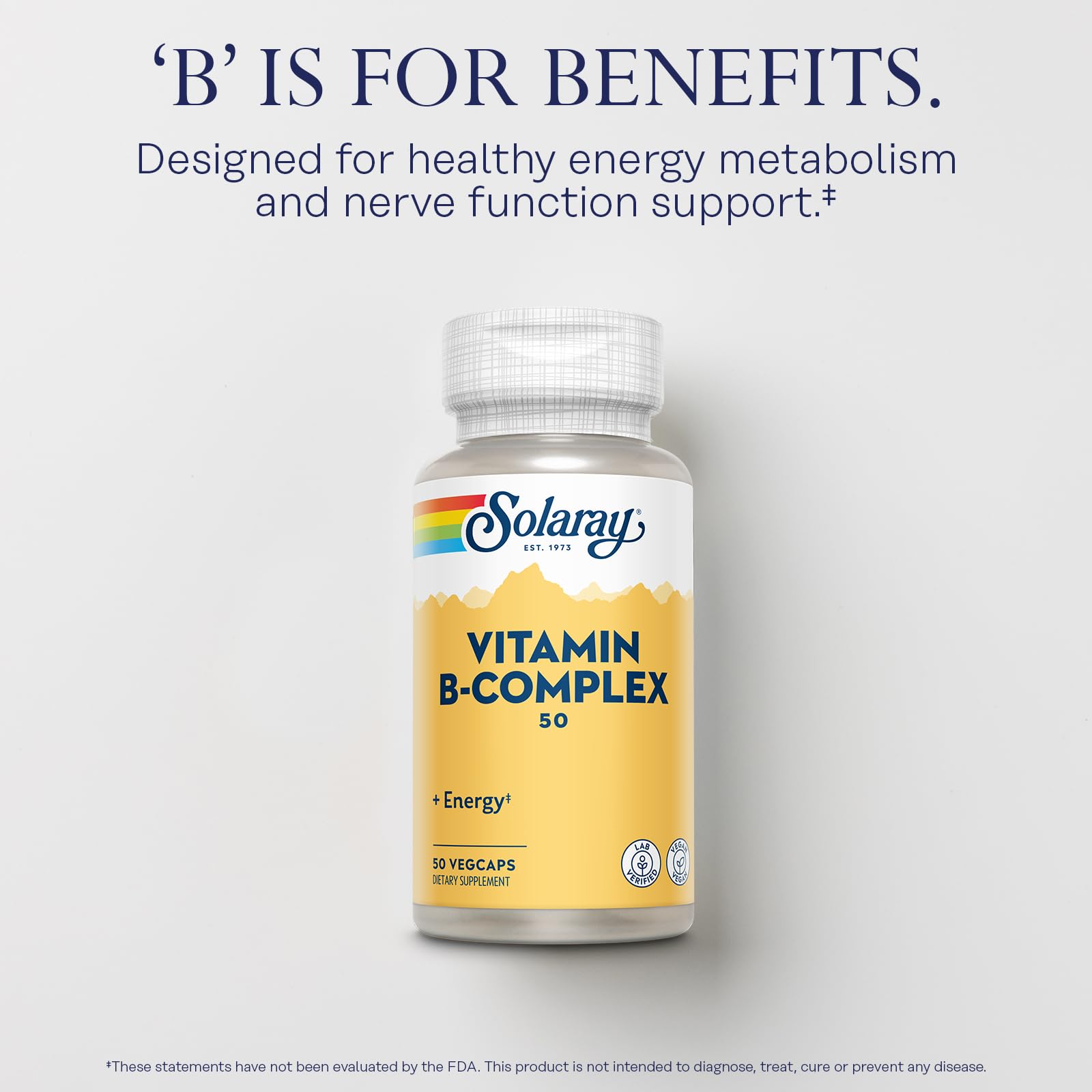 B vitamin blend including B1, B2, B3, B6, B12, folic acid, biotin and niacin