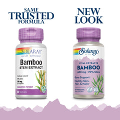 Close-up of Bamboo Stem Extract 70% silica standard