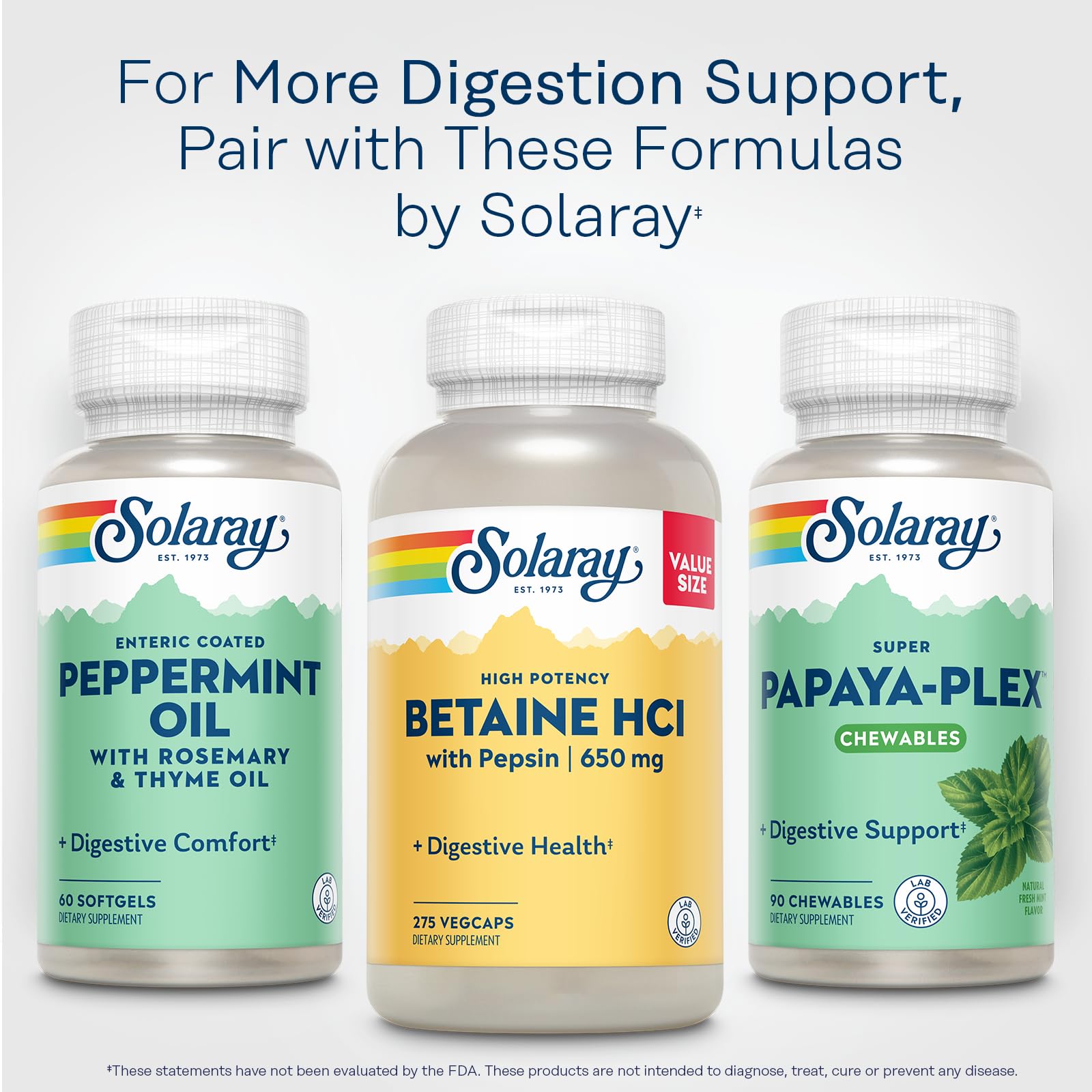 Solaray Betaine HCL with Pepsin bottle shows 60-day guarantee