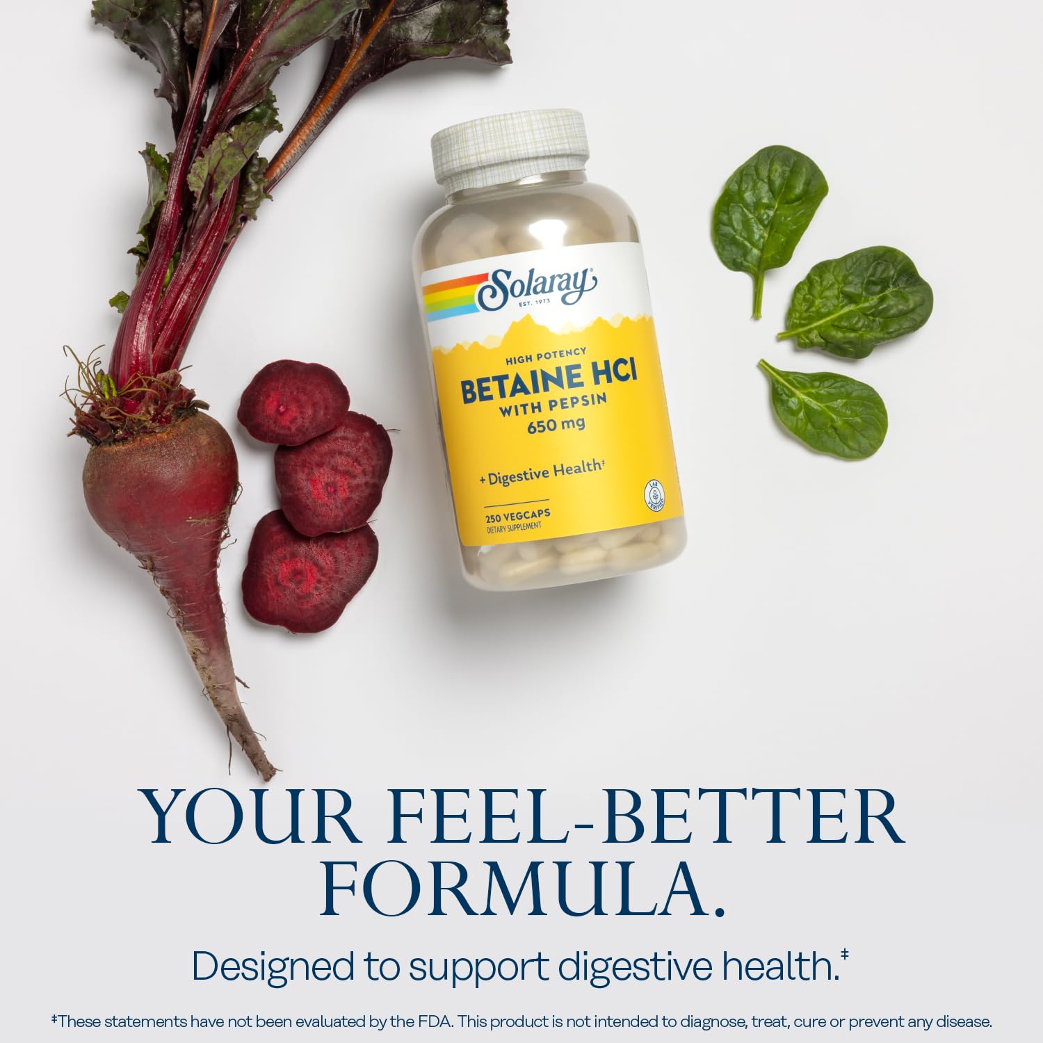 SOLARAY Betaine HCL with Pepsin digestive system graphic indicates gut function support
