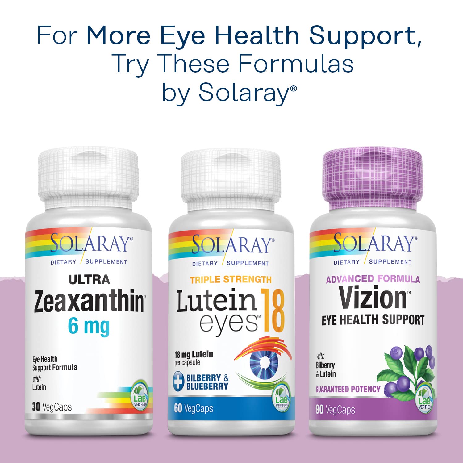Vision and circulation support bilberry capsules