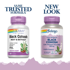 Close-up of Black Cohosh root and extract ingredients