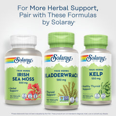 Lifestyle image of SOLARAY Bladderwrack Capsules beside a glass of water