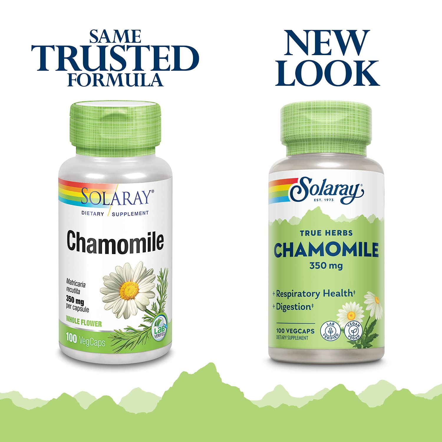 Chamomile plant illustration on packaging