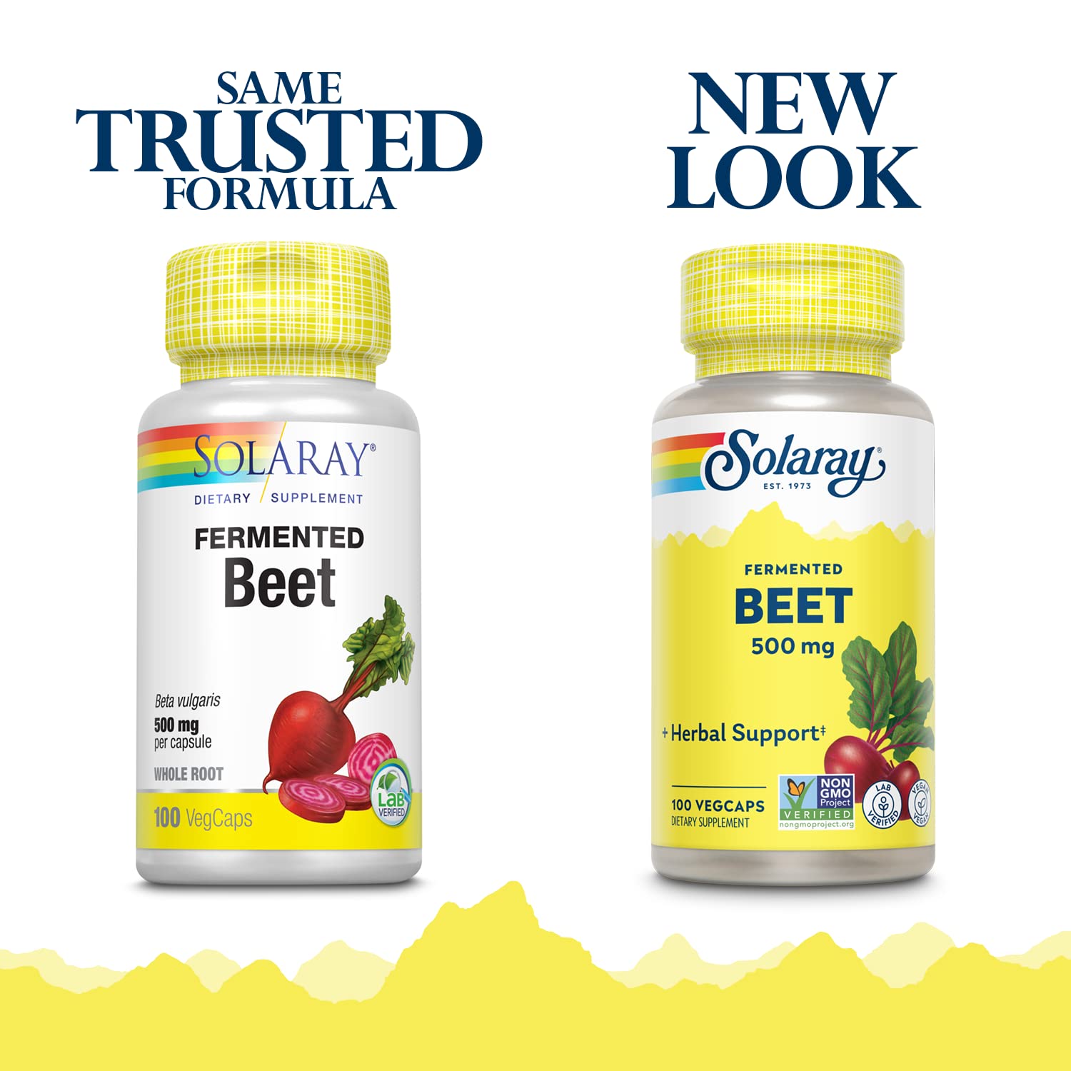 Close-up of fresh organic beets used for the fermented beet root extract