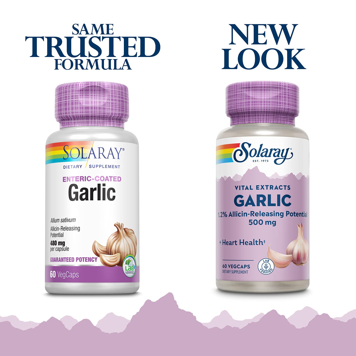 Front label of Solaray Garlic 500mg bottle
