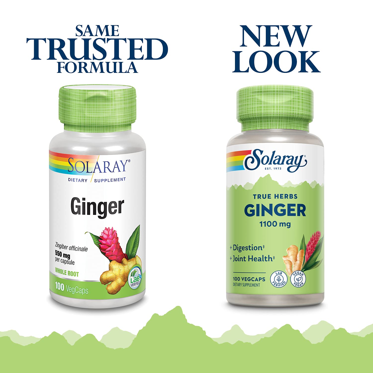 Ginger Root 1100mg bottle with product details