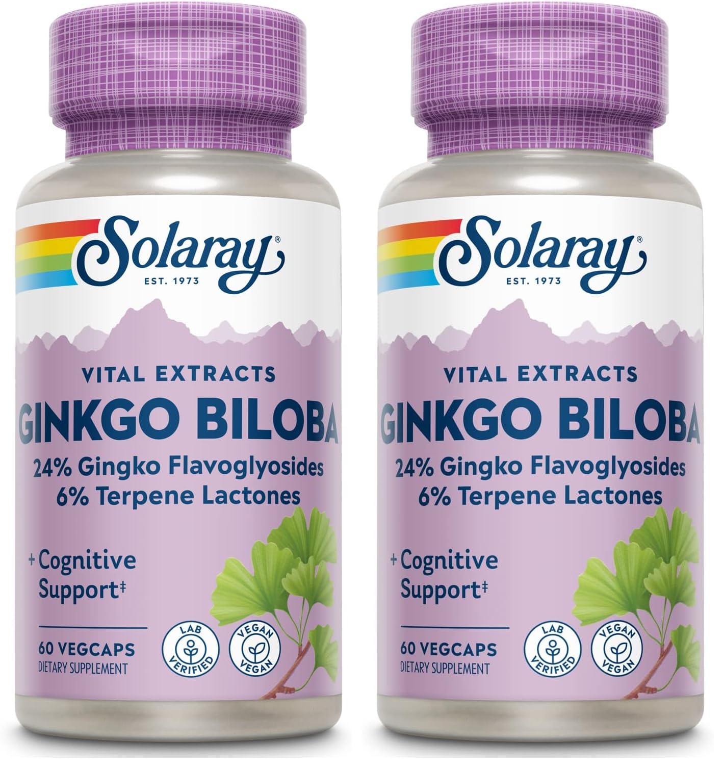 Solaray Ginkgo Biloba Extract 60 mg bottle - 60 count, pack of 2