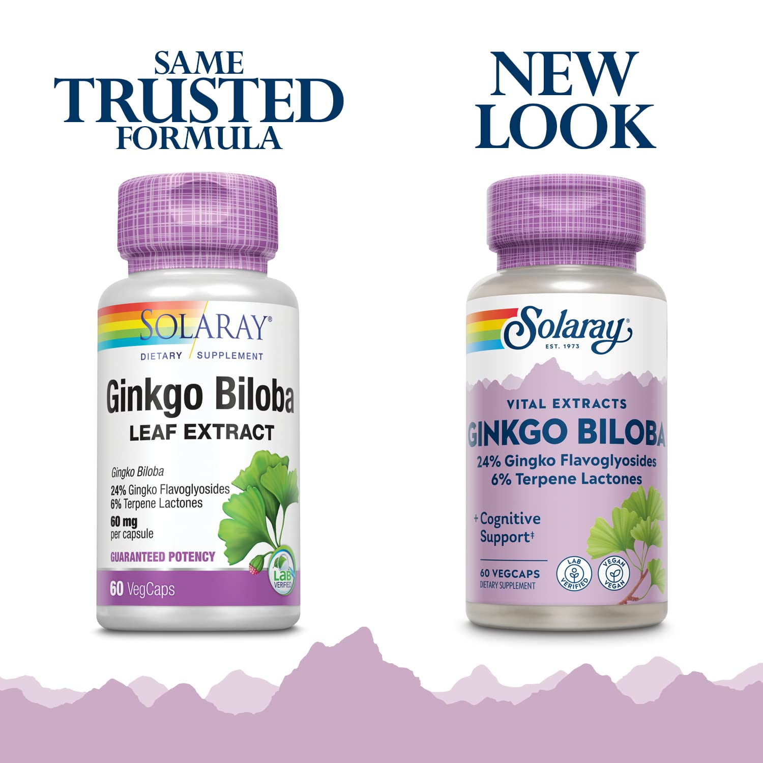 Solaray Ginkgo Biloba Extract bottle label