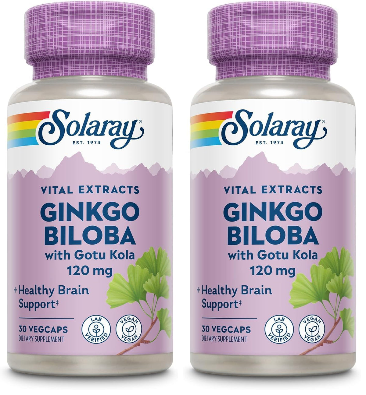 Solaray Ginkgo Biloba with Gotu Kola bottle (Pack of 2)