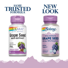 Non-GMO and vegan symbols on packaging