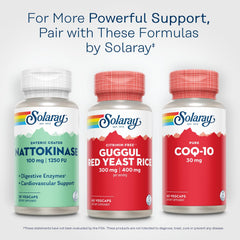 Nutrition label close-up highlighting potency and purity
