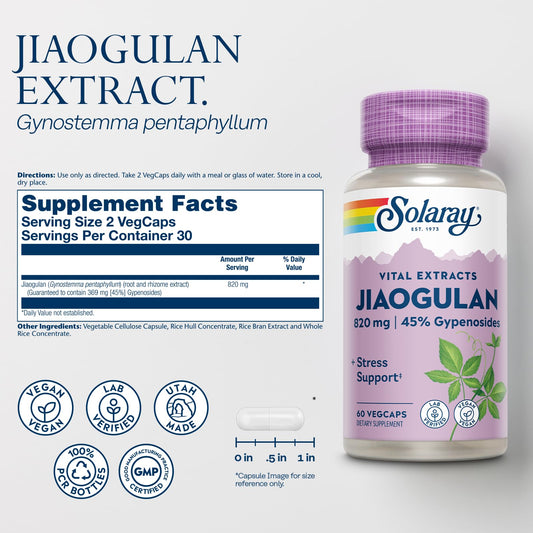 Jiaogulan root and rhizome extract capsules