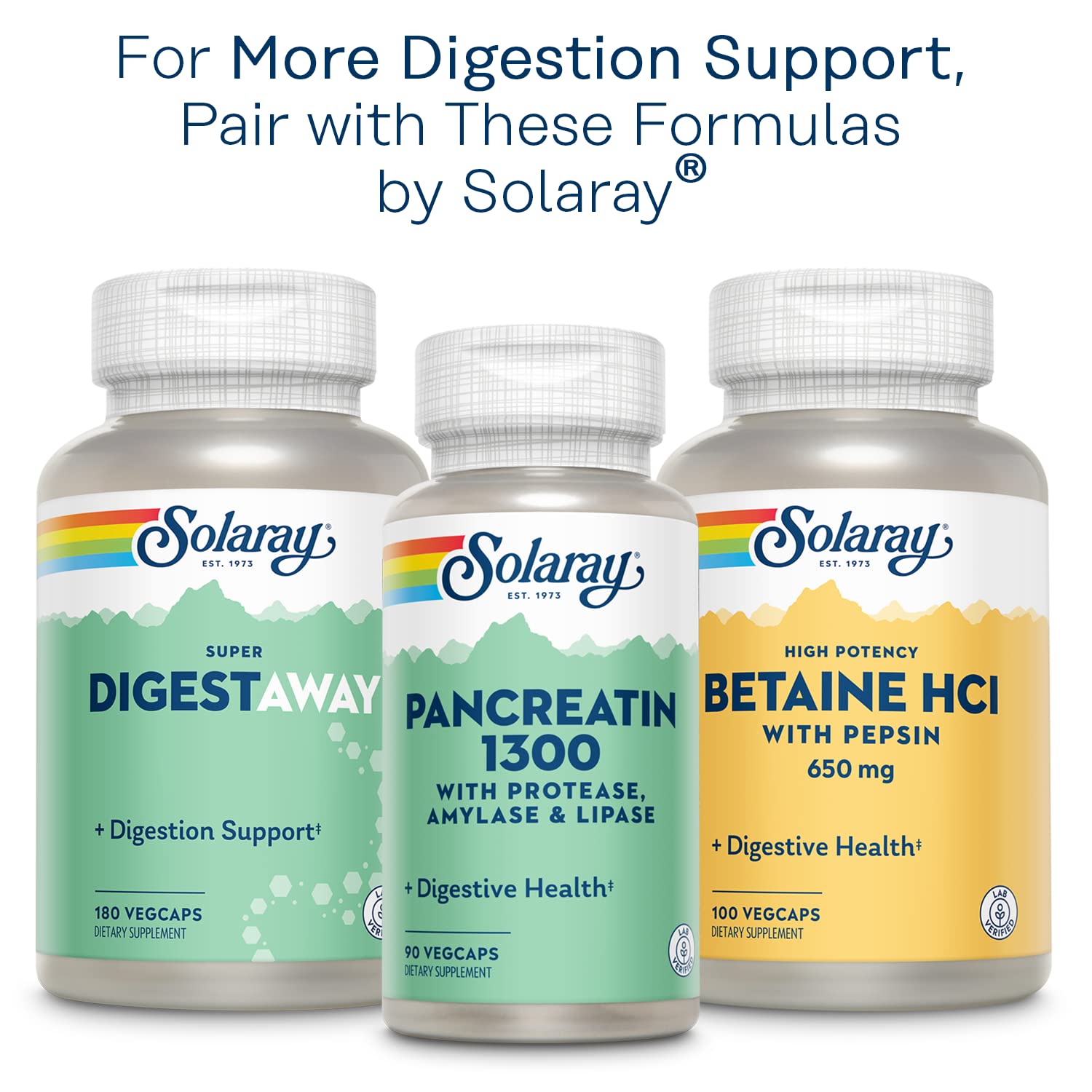 Digestive health concept illustrating gut support