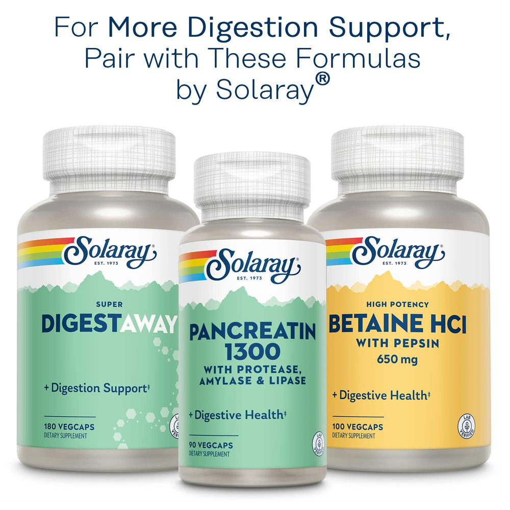 Digestive health concept illustrating gut support