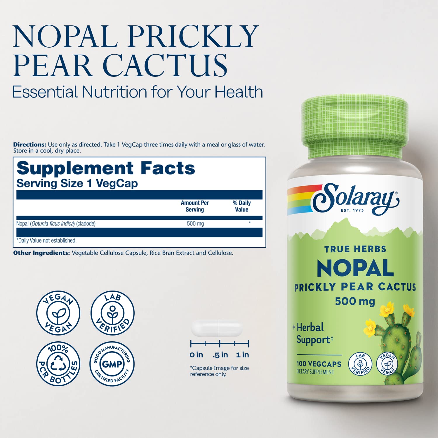 Close-up of nopales cactus cladode used in Solaray formula