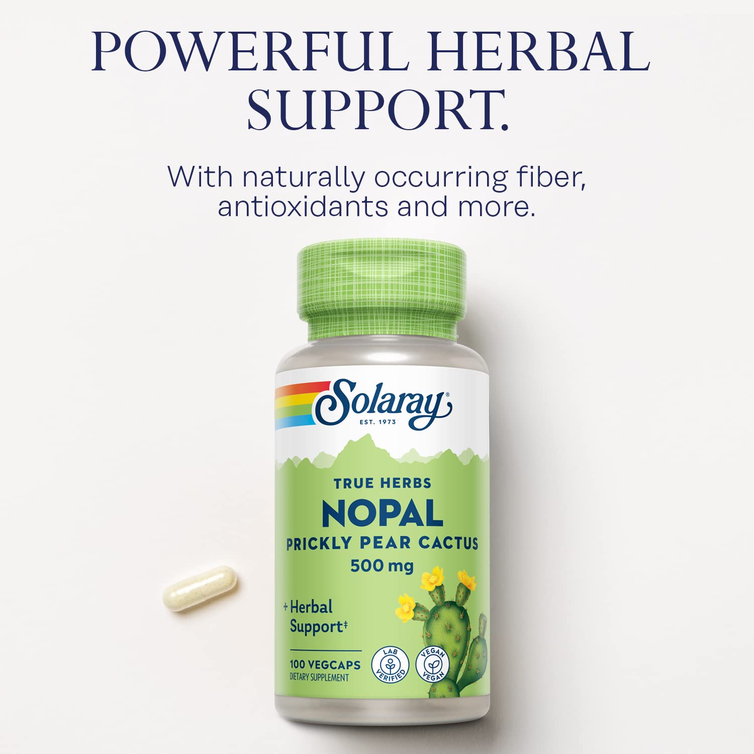 Dietary fiber and nutrients concept image for Nopal