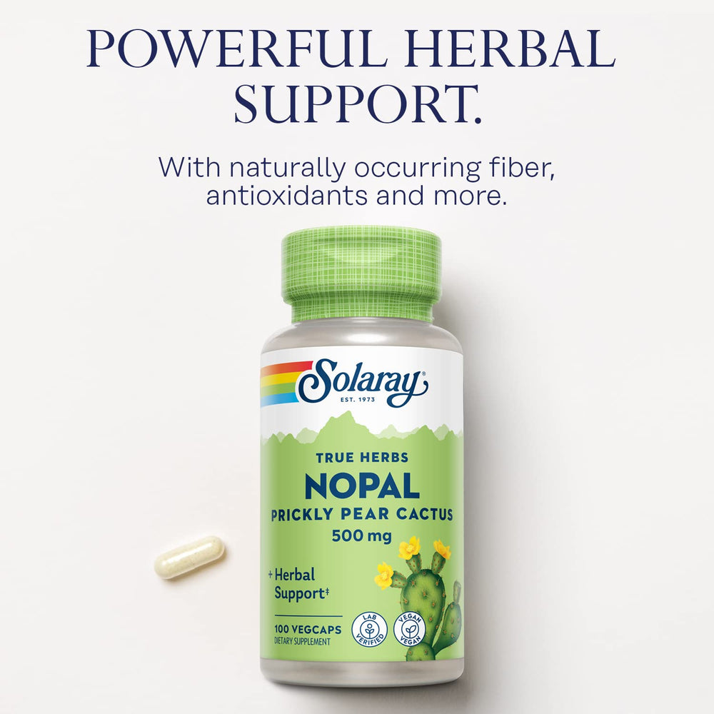 Dietary fiber and nutrients concept image for Nopal